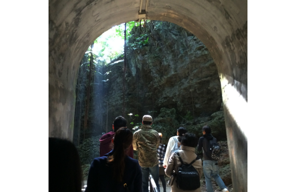 沖縄　ガンガラーの谷　ツアー