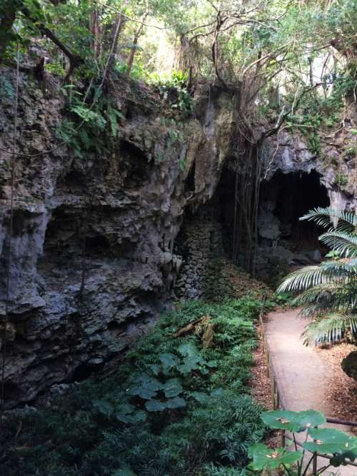 沖縄 ガンガラーの谷　洞窟