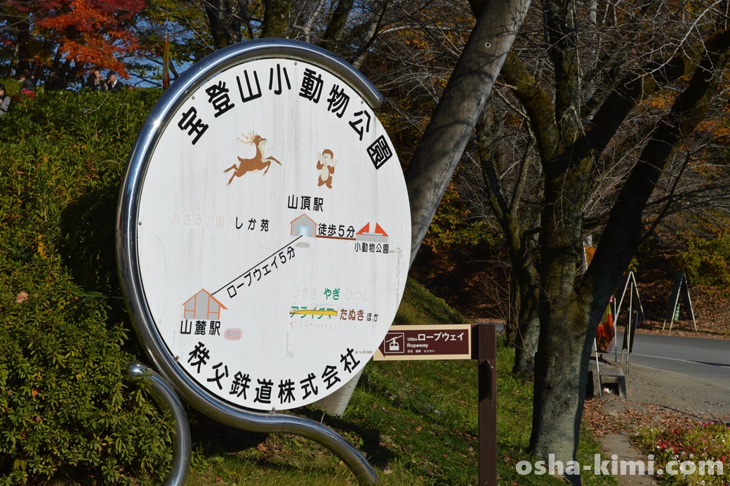宝登山山頂駅から歩いて5分で宝登山小動物公園に行くことができる