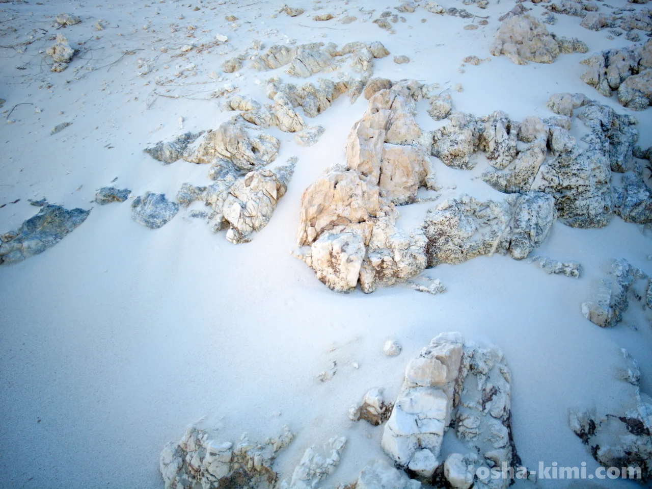 南島の石灰岩が風化して砂浜になっている
